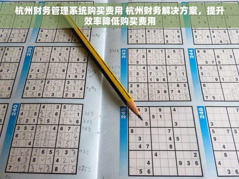 杭州财务管理系统购买费用 杭州财务解决方案,提升效率降低购买费用 杭州财务管理系统购买费用 杭州财务解决方案,提升效率降低购买费用