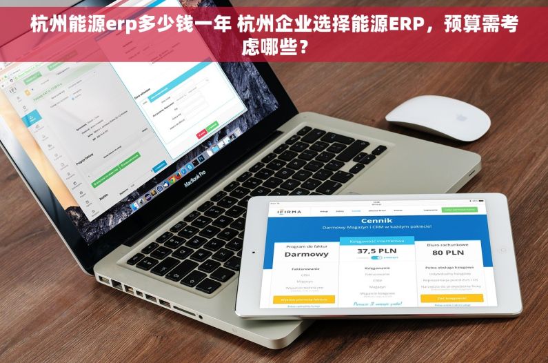 杭州能源erp多少钱一年 杭州企业选择能源ERP，预算需考虑哪些？