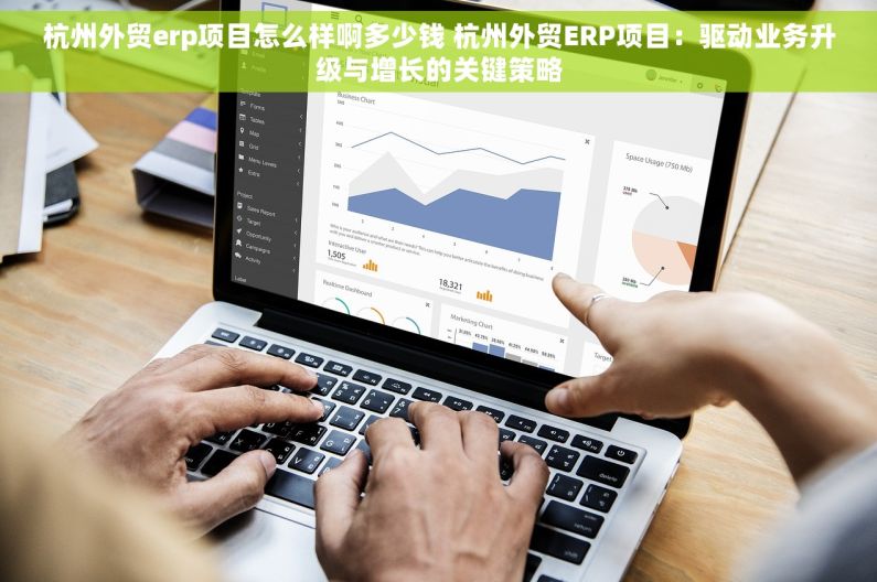 杭州外贸erp项目怎么样啊多少钱 杭州外贸ERP项目：驱动业务升级与增长的关键策略