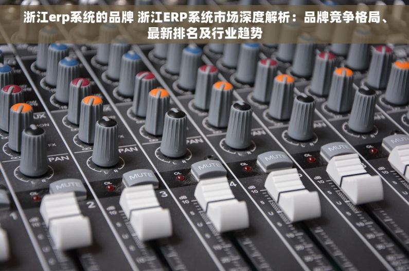 浙江erp系统的品牌 浙江ERP系统市场深度解析：品牌竞争格局、最新排名及行业趋势