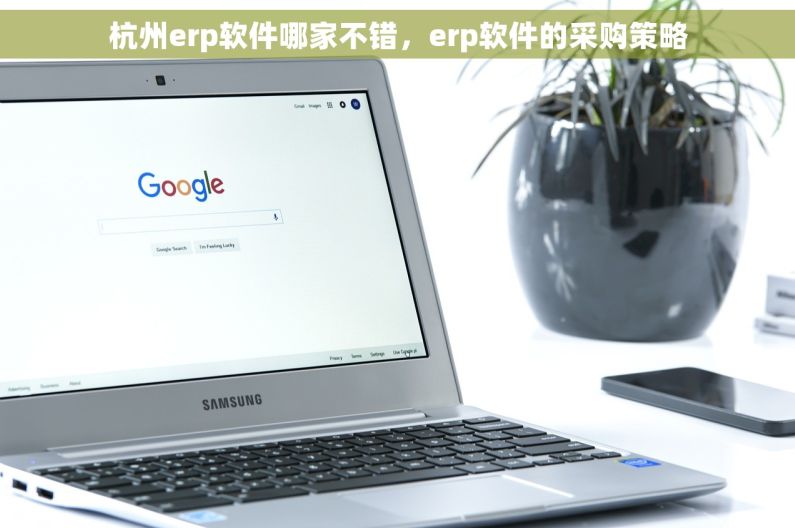 杭州erp软件哪家不错，erp软件的采购策略