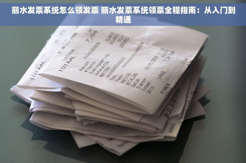 丽水发票系统怎么领发票 丽水发票系统领票全程指南：从入门到精通