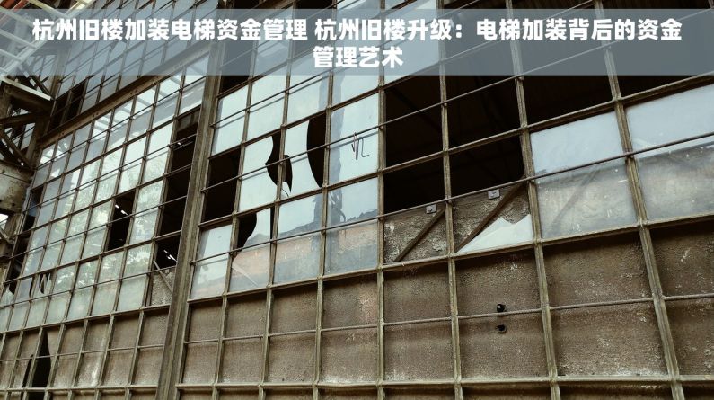 杭州旧楼加装电梯资金管理 杭州旧楼升级：电梯加装背后的资金管理艺术
