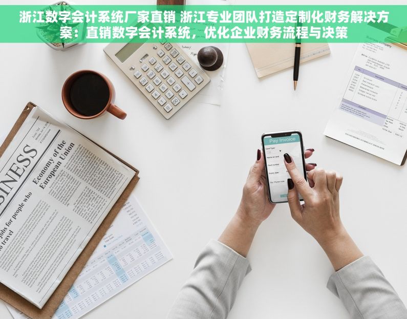 浙江数字会计系统厂家直销 浙江专业团队打造定制化财务解决方案：直销数字会计系统，优化企业财务流程与决策