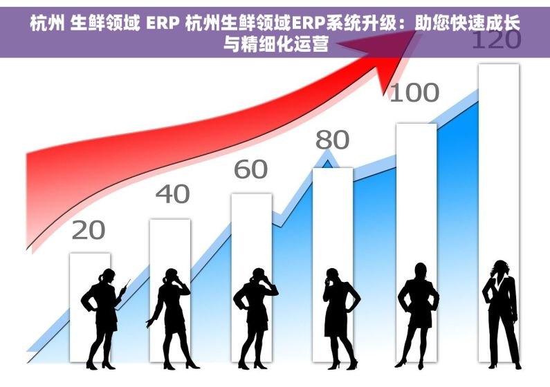 杭州 生鲜领域 ERP 杭州生鲜领域ERP系统升级：助您快速成长与精细化运营