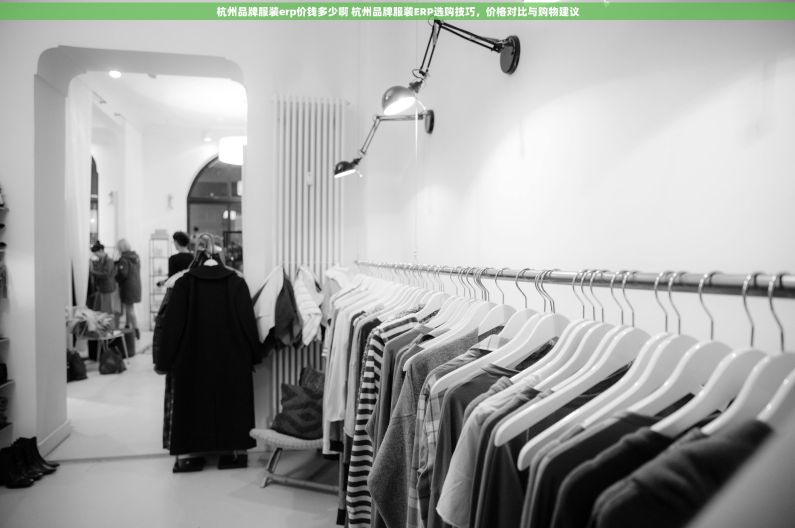 杭州品牌服装erp价钱多少啊 杭州品牌服装ERP选购技巧，价格对比与购物建议