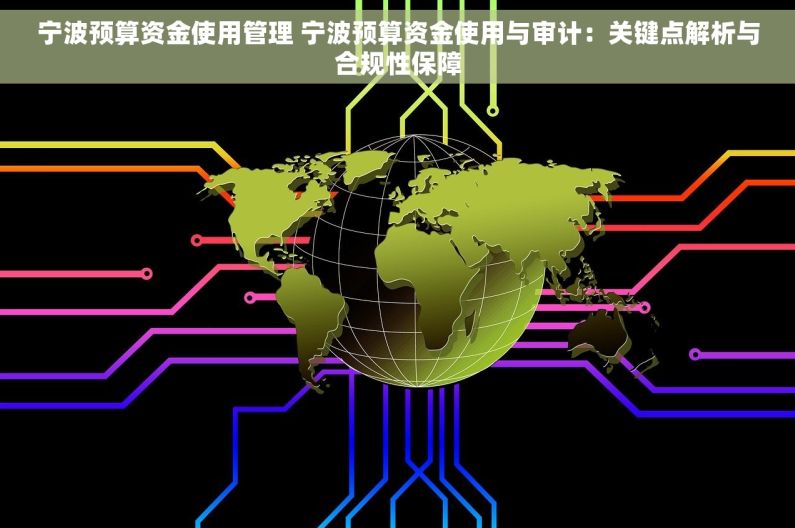 宁波预算资金使用管理 宁波预算资金使用与审计：关键点解析与合规性保障
