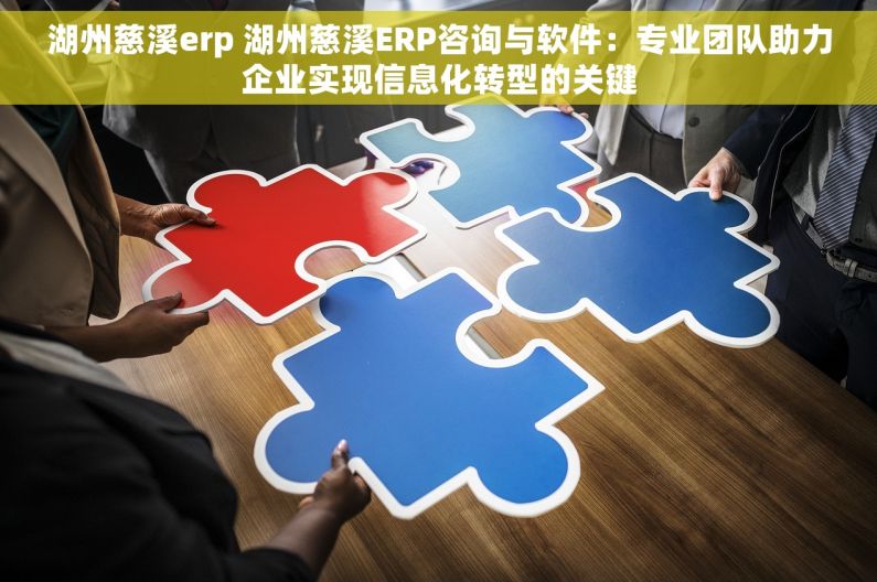 湖州慈溪erp 湖州慈溪ERP咨询与软件：专业团队助力企业实现信息化转型的关键