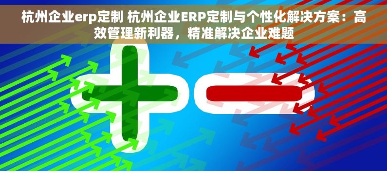 杭州企业erp定制 杭州企业ERP定制与个性化解决方案：高效管理新利器，精准解决企业难题
