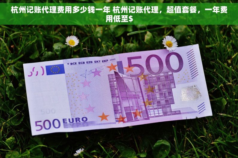 杭州记账代理费用多少钱一年 杭州记账代理，超值套餐，一年费用低至$