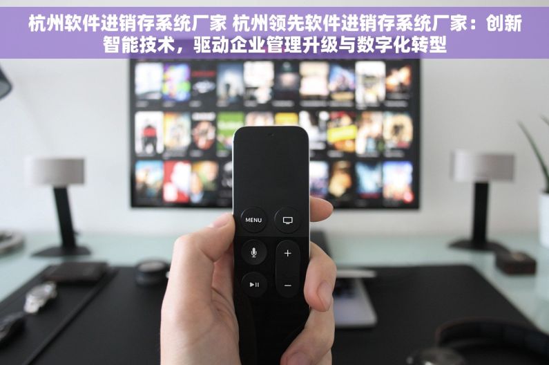 杭州软件进销存系统厂家 杭州领先软件进销存系统厂家：创新智能技术，驱动企业管理升级与数字化转型