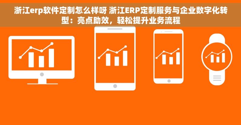 浙江erp软件定制怎么样呀 浙江ERP定制服务与企业数字化转型：亮点助效，轻松提升业务流程