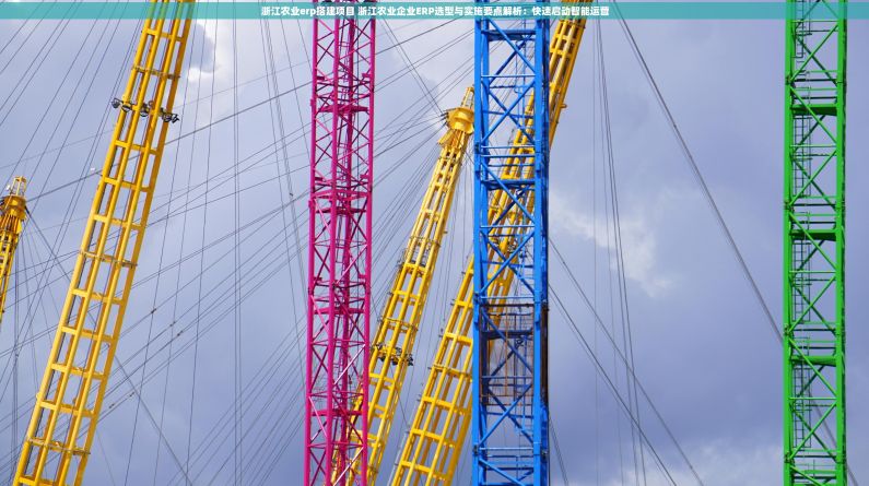 浙江农业erp搭建项目 浙江农业企业ERP选型与实施要点解析：快速启动智能运营
