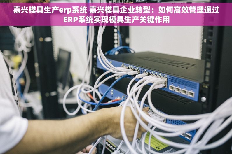 嘉兴模具生产erp系统 嘉兴模具企业转型：如何高效管理通过ERP系统实现模具生产关键作用