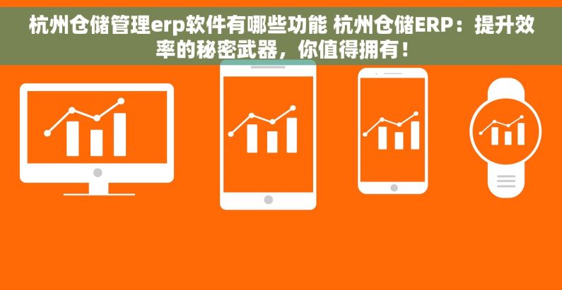 杭州仓储管理erp软件有哪些功能 杭州仓储ERP：提升效率的秘密武器，你值得拥有！