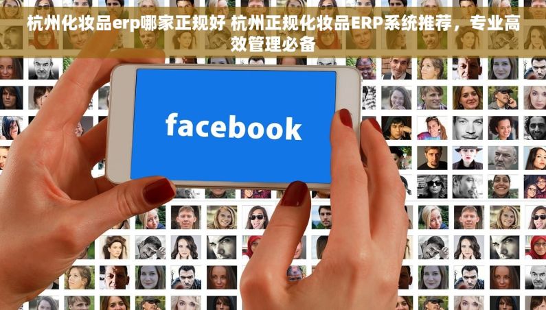 杭州化妆品erp哪家正规好 杭州正规化妆品ERP系统推荐，专业高效管理必备