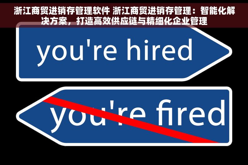 浙江商贸进销存管理软件 浙江商贸进销存管理：智能化解决方案，打造高效供应链与精细化企业管理
