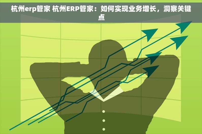 杭州erp管家 杭州ERP管家：如何实现业务增长，洞察关键点