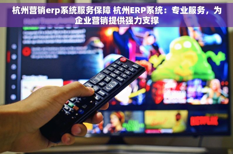 杭州营销erp系统服务保障 杭州ERP系统：专业服务，为企业营销提供强力支撑