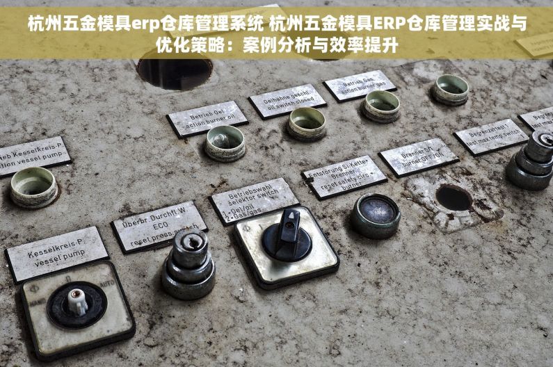 杭州五金模具erp仓库管理系统 杭州五金模具ERP仓库管理实战与优化策略：案例分析与效率提升