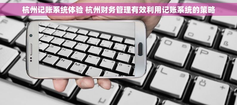 杭州记账系统体验 杭州财务管理有效利用记账系统的策略