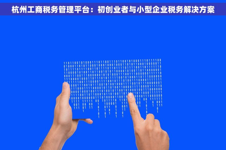 杭州工商税务管理平台：初创业者与小型企业税务解决方案