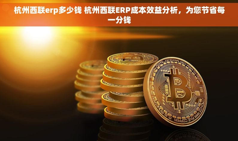 杭州西联erp多少钱 杭州西联ERP成本效益分析，为您节省每一分钱