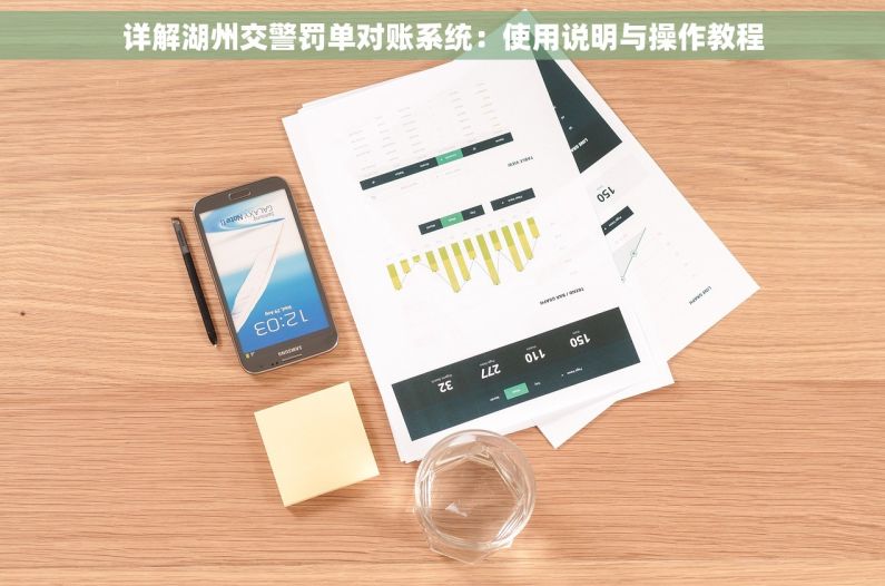 详解湖州交警罚单对账系统：使用说明与操作教程