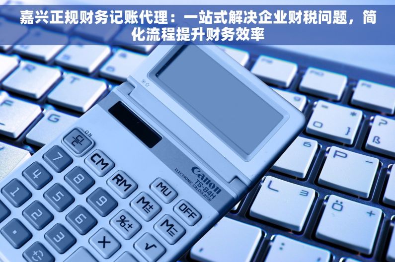 嘉兴正规财务记账代理：一站式解决企业财税问题，简化流程提升财务效率