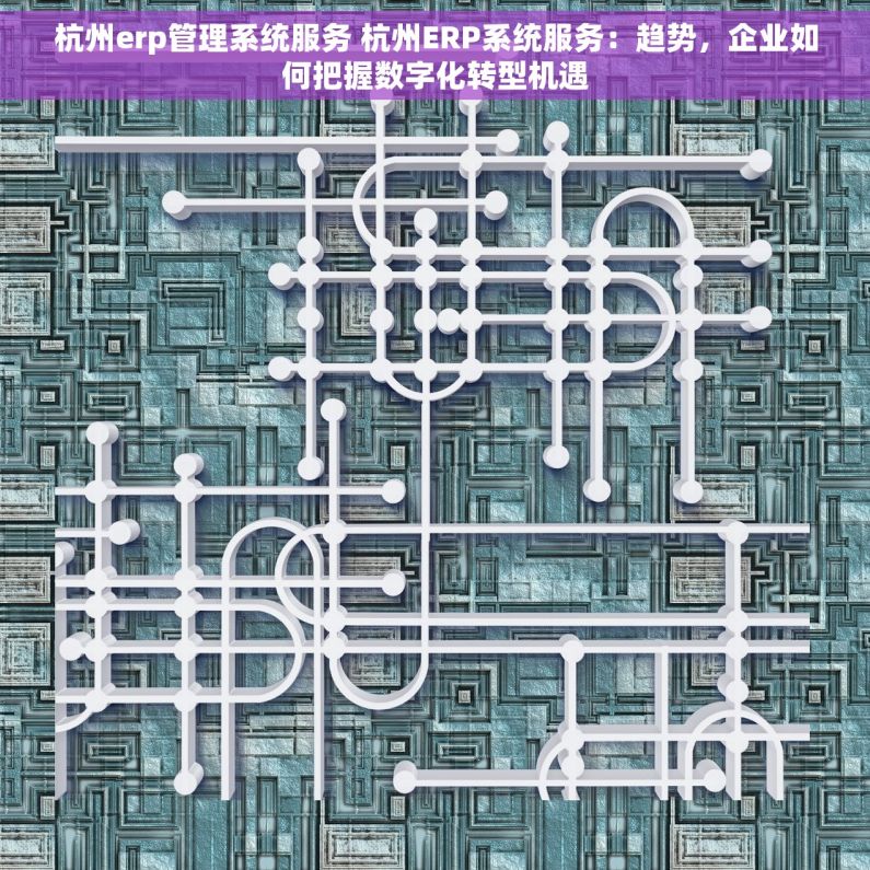 杭州erp管理系统服务 杭州ERP系统服务：趋势，企业如何把握数字化转型机遇