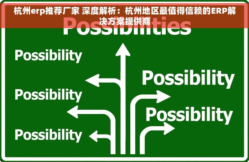 杭州erp推荐厂家 深度解析：杭州地区最值得信赖的ERP解决方案提供商