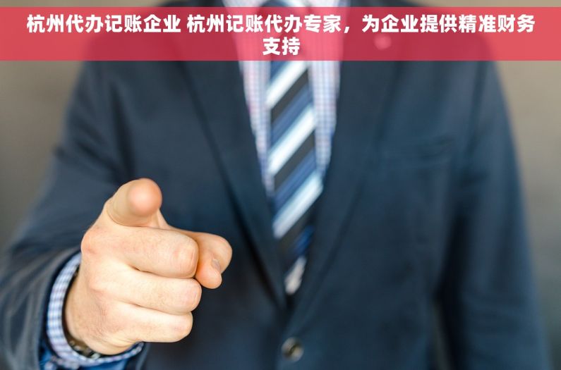 杭州代办记账企业 杭州记账代办专家，为企业提供精准财务支持