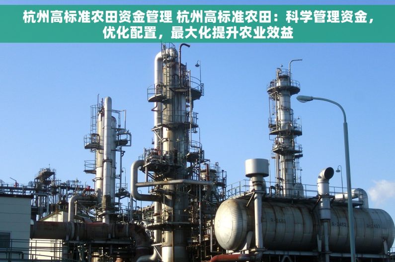 杭州高标准农田资金管理 杭州高标准农田：科学管理资金，优化配置，最大化提升农业效益