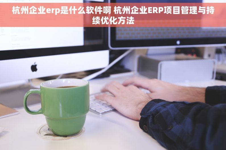 杭州企业erp是什么软件啊 杭州企业ERP项目管理与持续优化方法