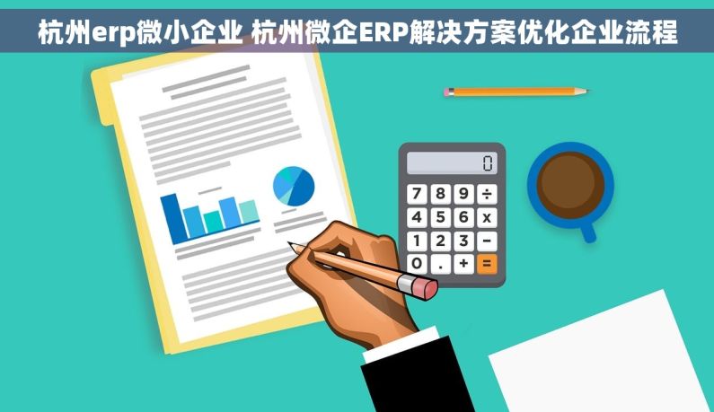 杭州erp微小企业 杭州微企ERP解决方案优化企业流程