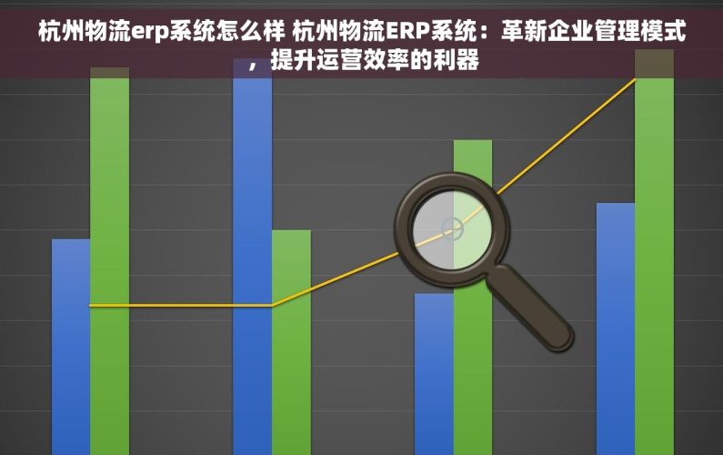 杭州物流erp系统怎么样 杭州物流ERP系统：革新企业管理模式，提升运营效率的利器