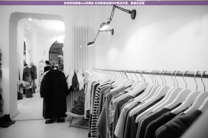 杭州好的服装erp有哪些 杭州服装品牌ERP解决方案，精细化运营