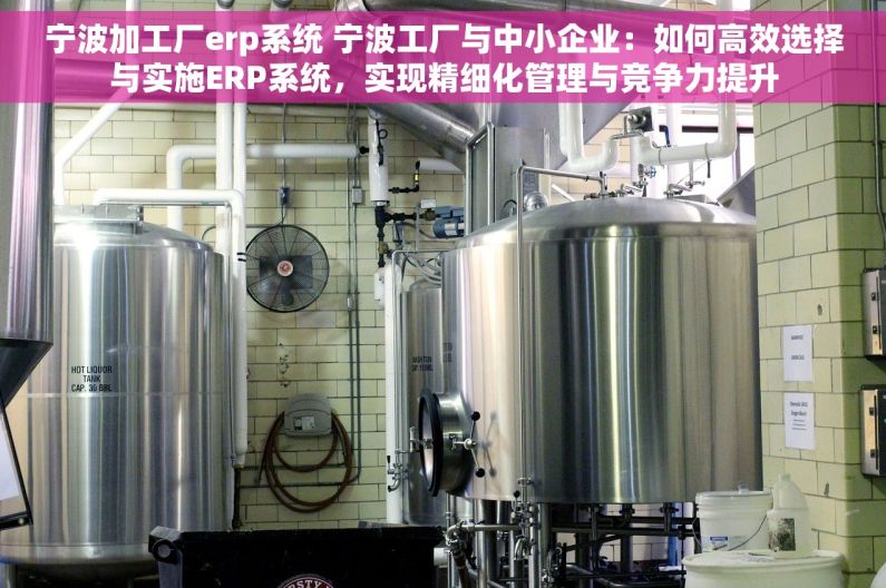 宁波加工厂erp系统 宁波工厂与中小企业：如何高效选择与实施ERP系统，实现精细化管理与竞争力提升