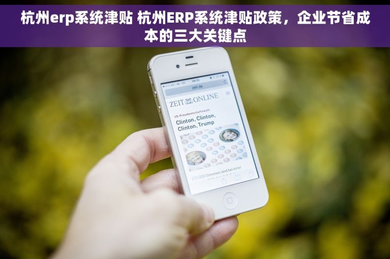 杭州erp系统津贴 杭州ERP系统津贴政策，企业节省成本的三大关键点