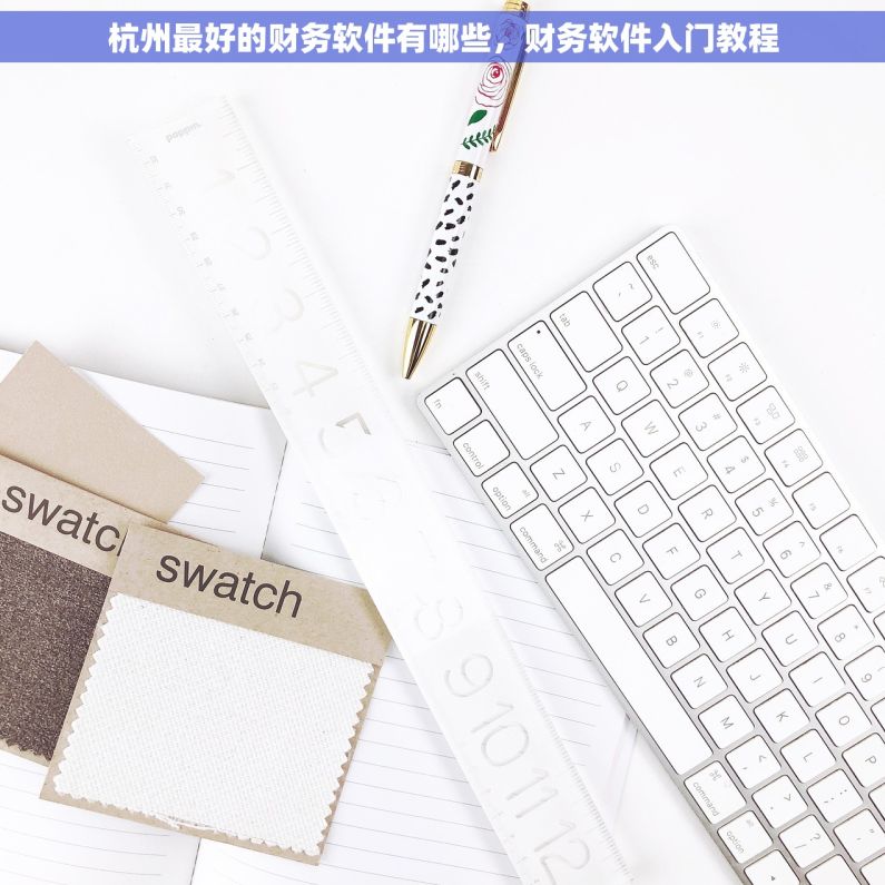 杭州最好的财务软件有哪些，财务软件入门教程