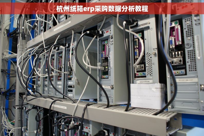 杭州纸箱erp采购数据分析教程