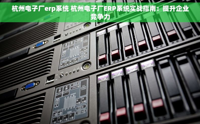 杭州电子厂erp系统 杭州电子厂ERP系统实战指南：提升企业竞争力