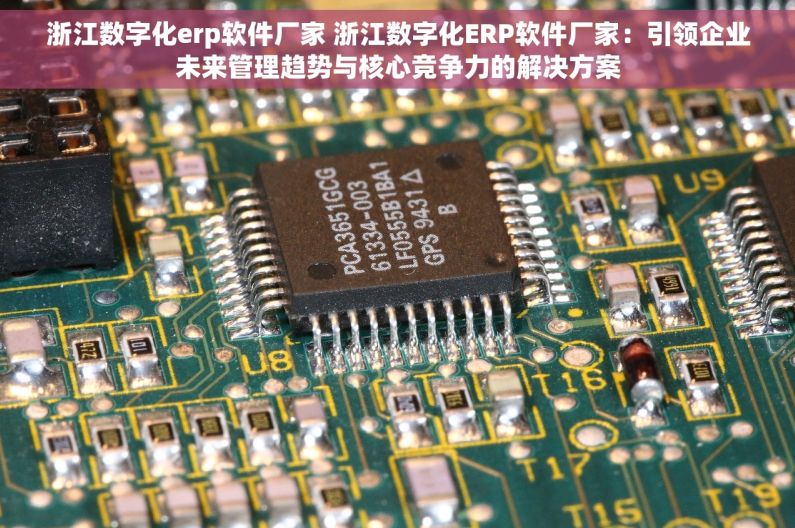 浙江数字化erp软件厂家 浙江数字化ERP软件厂家：引领企业未来管理趋势与核心竞争力的解决方案