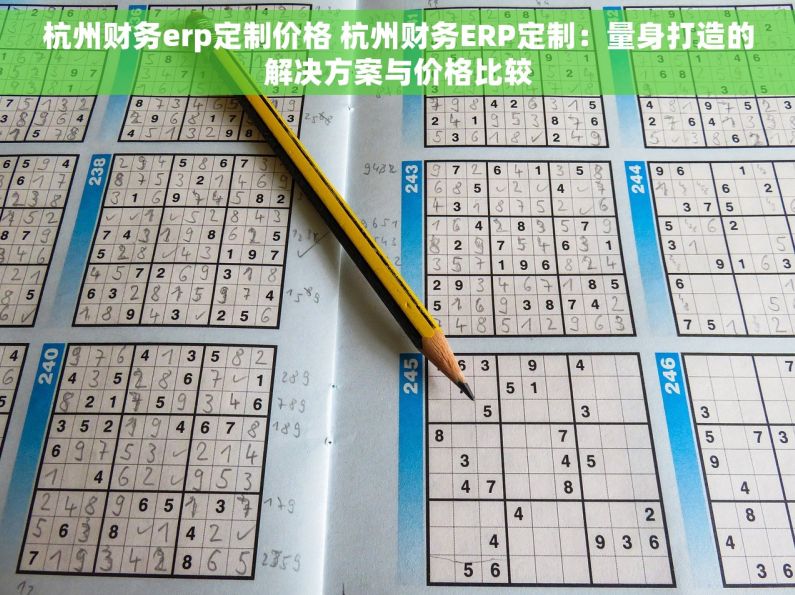 杭州财务erp定制价格 杭州财务ERP定制：量身打造的解决方案与价格比较
