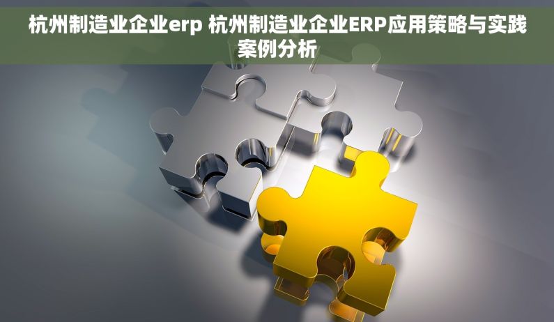 杭州制造业企业erp 杭州制造业企业ERP应用策略与实践案例分析