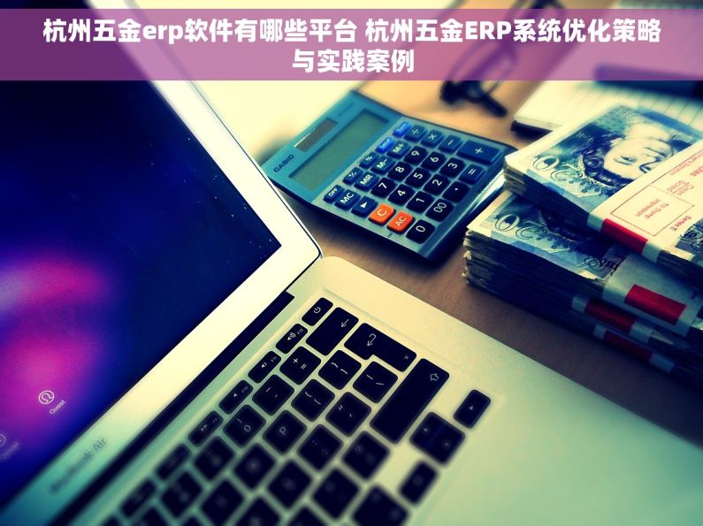 杭州五金erp软件有哪些平台 杭州五金ERP系统优化策略与实践案例