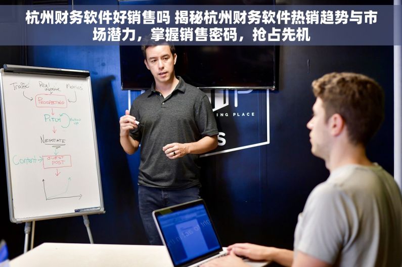 杭州财务软件好销售吗 揭秘杭州财务软件热销趋势与市场潜力，掌握销售密码，抢占先机