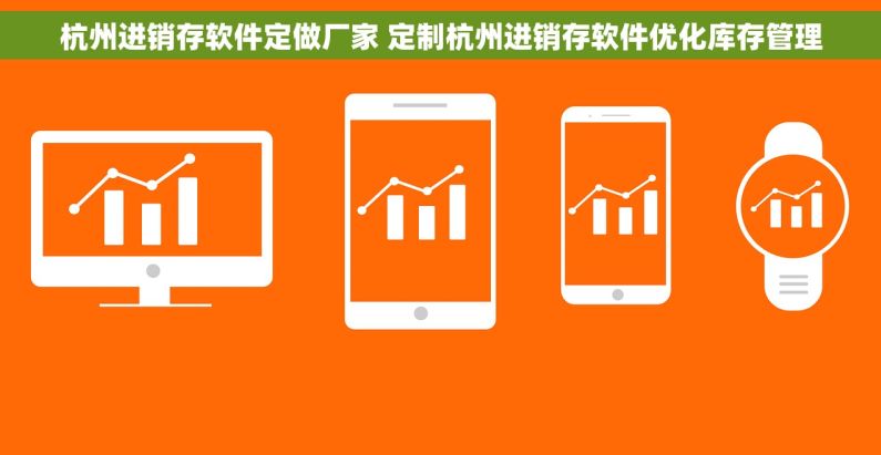 杭州进销存软件定做厂家 定制杭州进销存软件优化库存管理