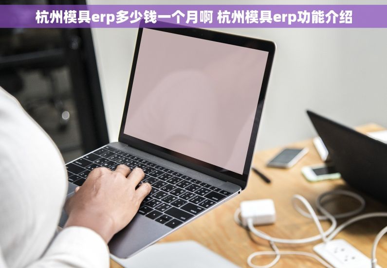 杭州模具erp多少钱一个月啊 杭州模具erp功能介绍