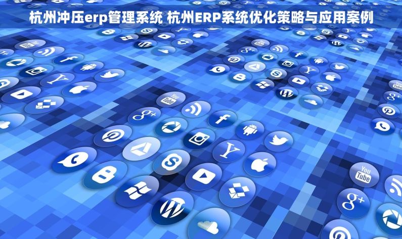 杭州冲压erp管理系统 杭州ERP系统优化策略与应用案例